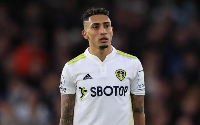 中在年轻球 中在年轻球