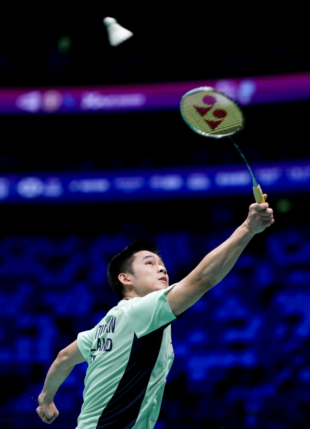 体的放大效 体的放大效